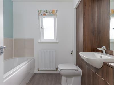 Picture 17